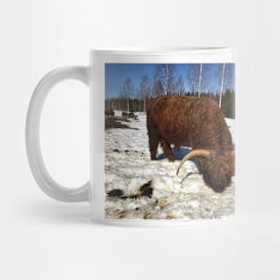 Scottish Highland Cattle Bull 1737 Mug